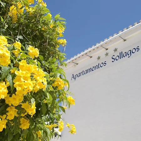 Sollagos *